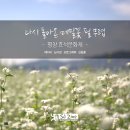 에스제이진 - 화성시 동탄대로9가길 23 | 에스제이진