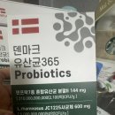 상당건강약국 | 덴마크 유산균 365 Probiotics 내돈내산 리얼후기｜약국 입점 유산균 재구매 이유