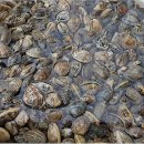 삼공주민박 이미지