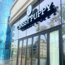 퍼피케어 이미지