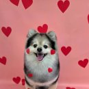 브리앙뜨몽 이미지