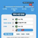 나비트래블 | 보홀 육상투어 보홀트래블 내돈내산 후기 ㅣ 로복강, 맨메이드숲, 안경원숭이, 초콜릿힐, 반딧불