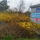 봄비문학관 이미지