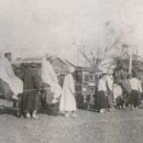 고기도감 이미지