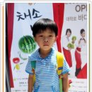 채소나라 - 여주시 외평1길 68-49 | 채소나라