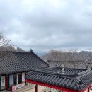 복사꽃향기 | 경북 경산 가볼만한곳 Best 4 팔공산 갓바위 반곡지 복사꽃