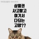 더조은모바일 이미지