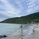 함덕수산시장 | 제주도 함덕해수욕장 회포장 맛집 함덕수산시장 후기
