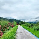 비 개인 후 이미지