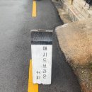 애시드브라운컴퍼니
