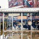 아우어플랜트 | 용산공원카페 어반플랜트 서빙고 까눌레 맛있는 서빙고역 신상카페