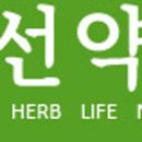 신선약초