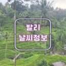투걸 | 인도네시아 발리 우붓 여행 건기 우기 1월 2월 3월 4월 5월 6월 7월 8월 9월 10월 11월 12월 봄...