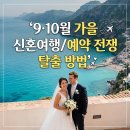 9월 10월 가을 신혼여행지 추천 | 예약 전쟁 없이 유럽 지중해 허니문 완성하는 법 (마요르카·포르투갈...