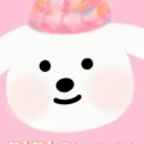 멍멍과자점 이미지