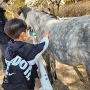 대전승마장 이미지