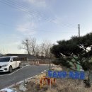 강화쑥마을 | 김포 두손치유 쑥좌훈 제대로 받고 온 내돈내산 후기