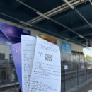 하울팟 부산케어센터 | May. #2 부산여행기2 + 1st 결기