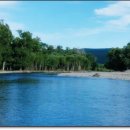 녹스피시 이미지