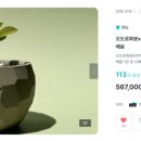 꾸리팜