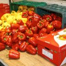 동복농협하나로마트 이미지