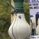 또모아식당 이미지