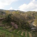 선진조경농원