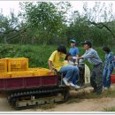 수광농장 이미지