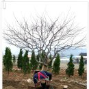 지베르니펜션 이미지