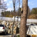 광릉숲이야기 관광농원 이미지