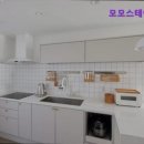 모모스테이