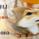 가람컴퍼니 이미지