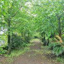 제주팜파스펜션 이미지