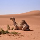 (주)올로 이미지