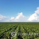 (주)경영팜 이미지