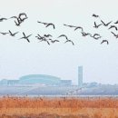 무안연합의원 이미지