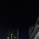 우홍백 돼지국밥 | 부산 맛집/ 대연동맛집 우홍백돼지국밥 삼겹국밥, 맑은국밥, 고기순대 추천 후기