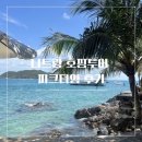 나트랑 여행 호핑투어 혼문섬 혼땀섬 미니비치, 피크타임 내돈내산 후기