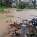 인한농장 이미지