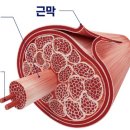 PT특별관 이미지