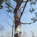 내포 홍예공원 이미지