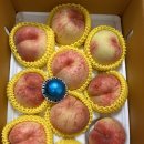 홍백농장 이미지