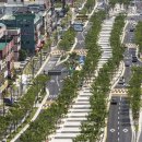 마중생태 이미지