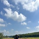 서도농장 이미지