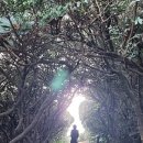 삼촌국수집 이미지