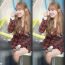 황미영 카카오 검색결과