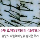 서04-404 | 수원 호매실두피관리, 숲칼프 수원호매실점 솔직한 후기