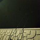 삼성호낚시슈퍼 | 24.11.01~11.02 지인들과 함께한 삼목항 원투낚시 2차 도전