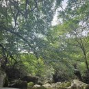 재미있게 이미지