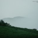 정경목장 이미지